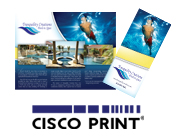 Print Brochures